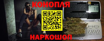 гидропоника Кингисепп