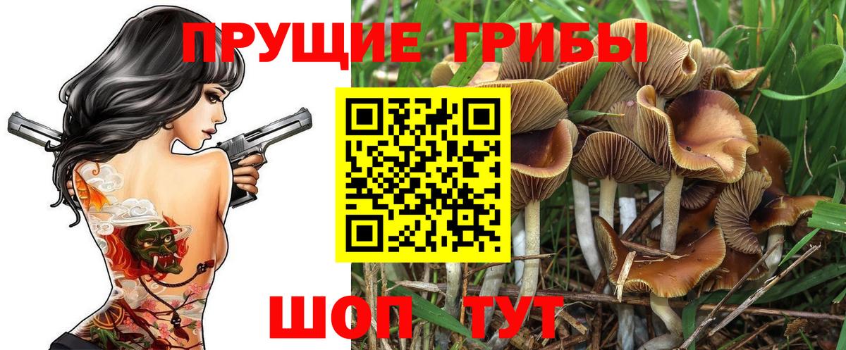 Псилоцибиновые грибы мицелий  Вход с VPN  Кисловодск 